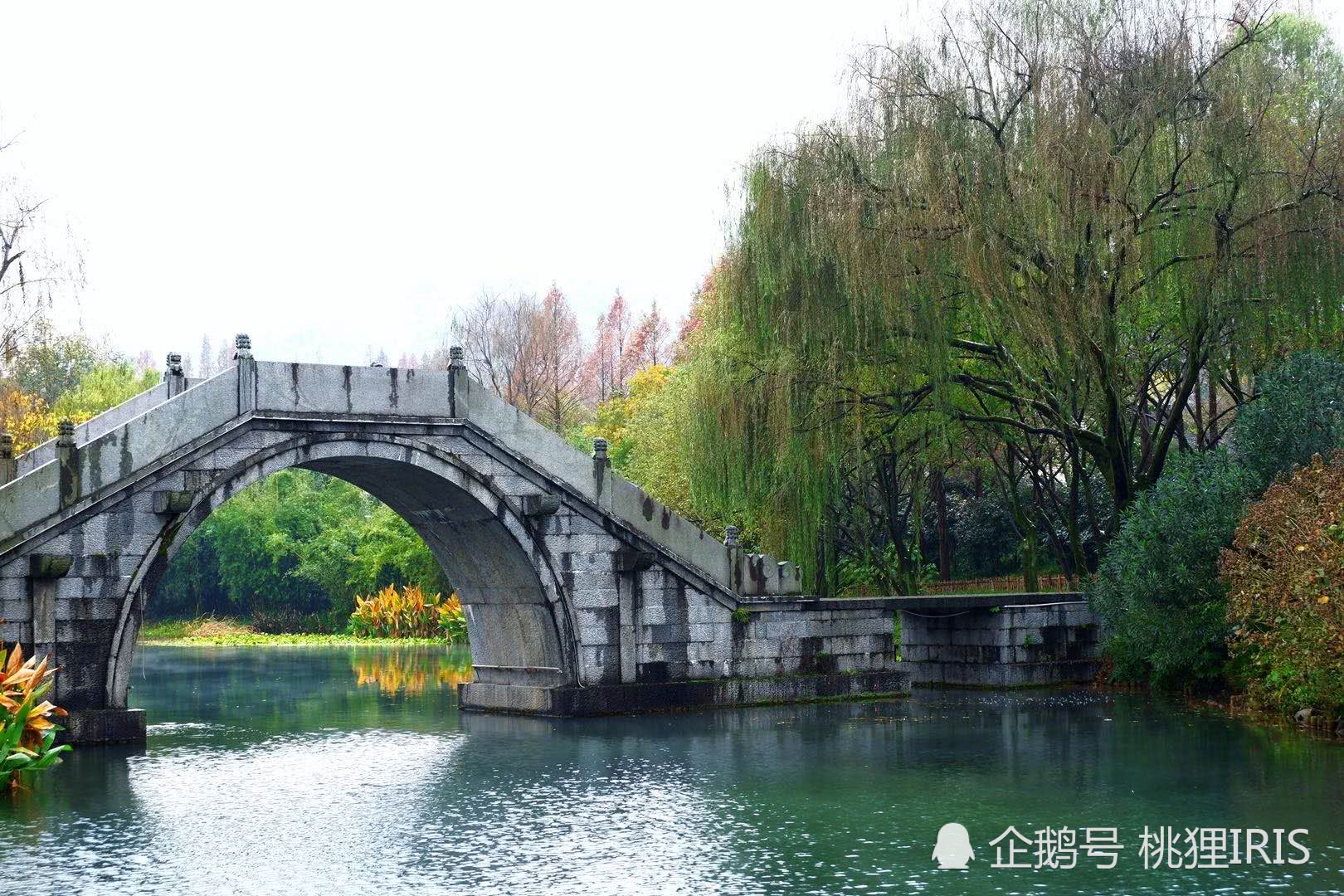 浴鹄湾:金庸笔下的