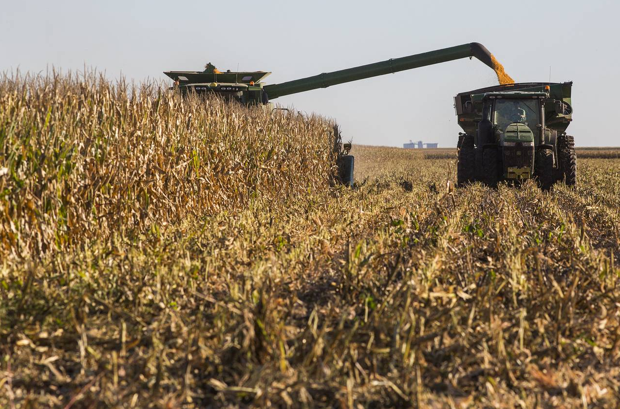 美国一条村的农民可以养活3千万人 高科技农业厉害在哪 看点快报