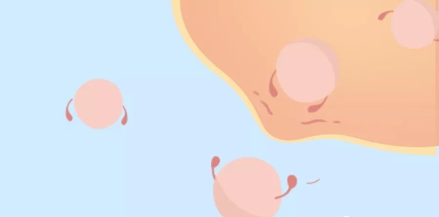 卵子老化是因为线粒体异常 该怎么治疗 看点快报