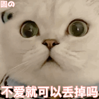 表情包:小可爱猫咪表情包