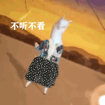 搞笑沙雕羊驼换上了不同的穿搭表情包,不听不看不follow