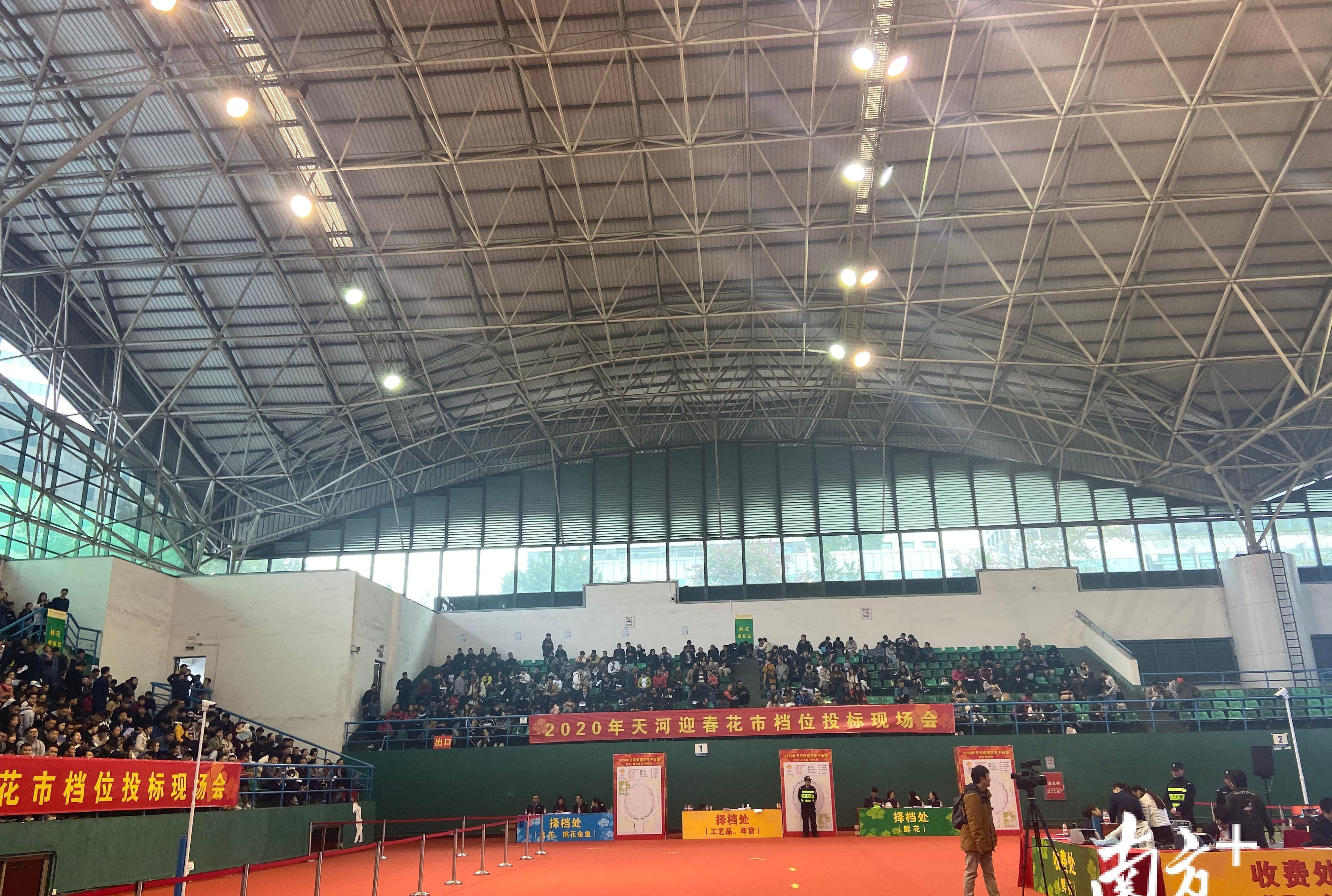 元 天河区花市标王历年最高价诞生 看点快报