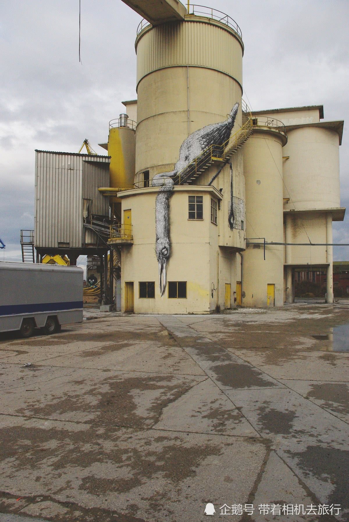 艺术家在建筑外壁绘制巨幅动物壁画 仔细观察细节 颇为巧妙 看点快报