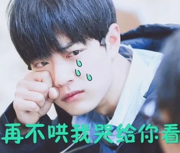 肖战搞笑表情包:一个乖巧可爱的