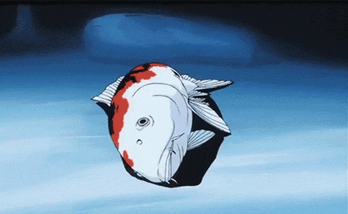 喝水,鱼类,渗透压,尿素