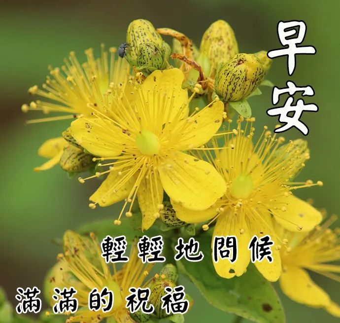 友谊