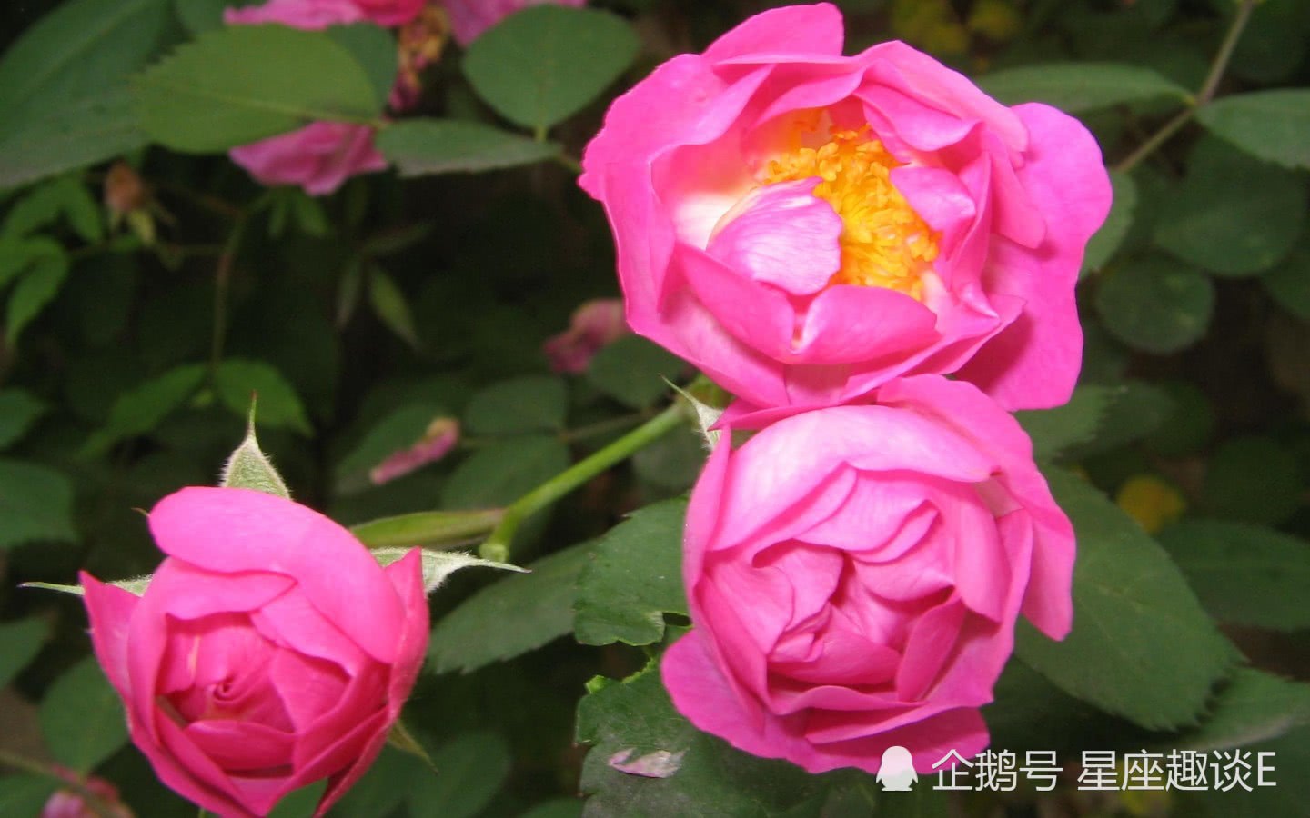 4月11日星座运势 金牛小心谨慎 天蝎三思而行 摩羯努力拼搏 看点快报