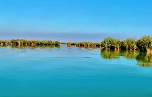 沙鸥翔集 锦鳞游泳 飞鸟歌唱 水流哗哗 这是秋天的沙湖 看点快报