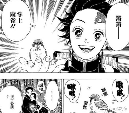 鬼灭之刃 盘一盘漫画中出现的小动物 善逸的最可爱 音柱最霸气 看点快报