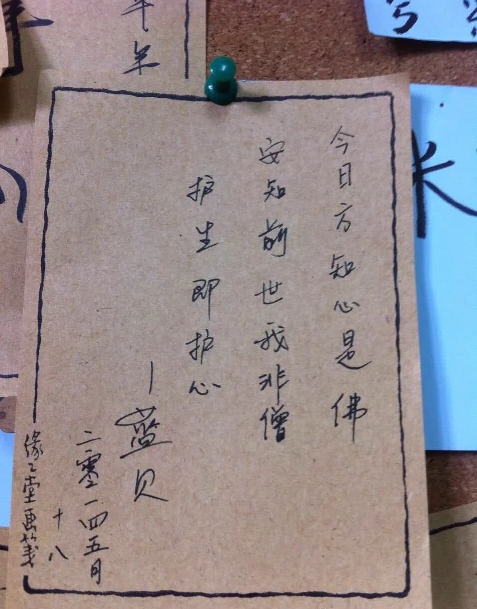 禁食猫狗 是伪善吗 看点快报