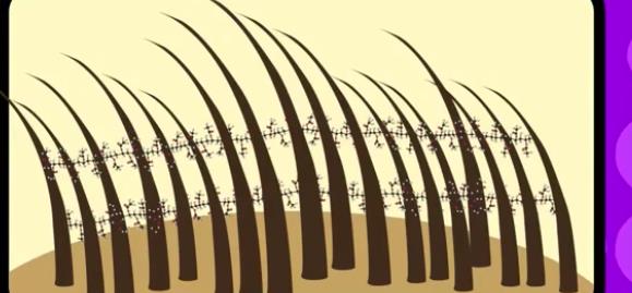 发胶什么原理_幸福是什么图片(3)