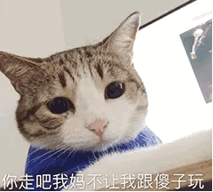 表情包:你走吧,我妈不让我跟傻子玩