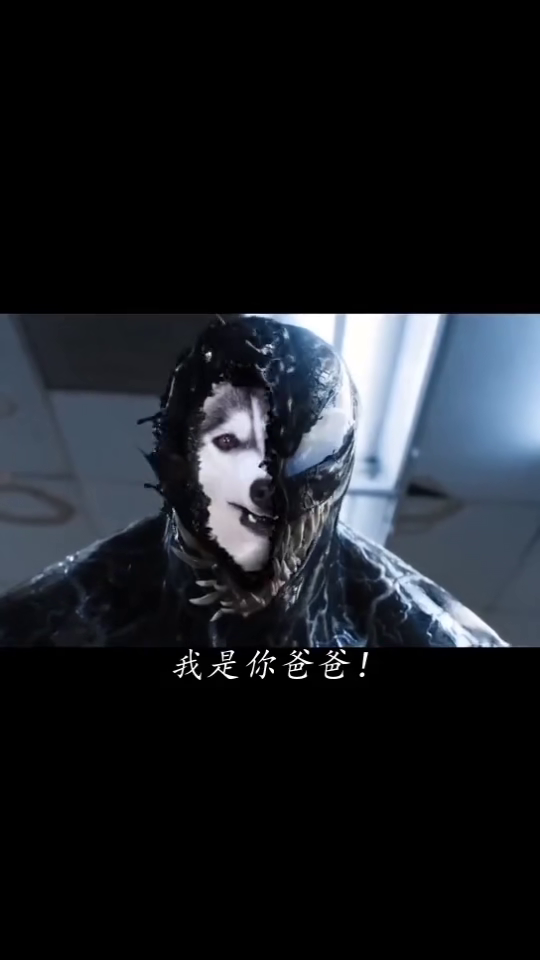 毒液恶搞视频预告，毒液恶搞视频预告在线观看