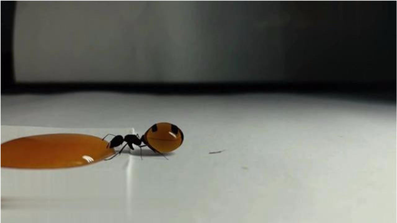 0
