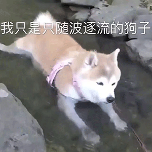 表情包 沙雕表情包