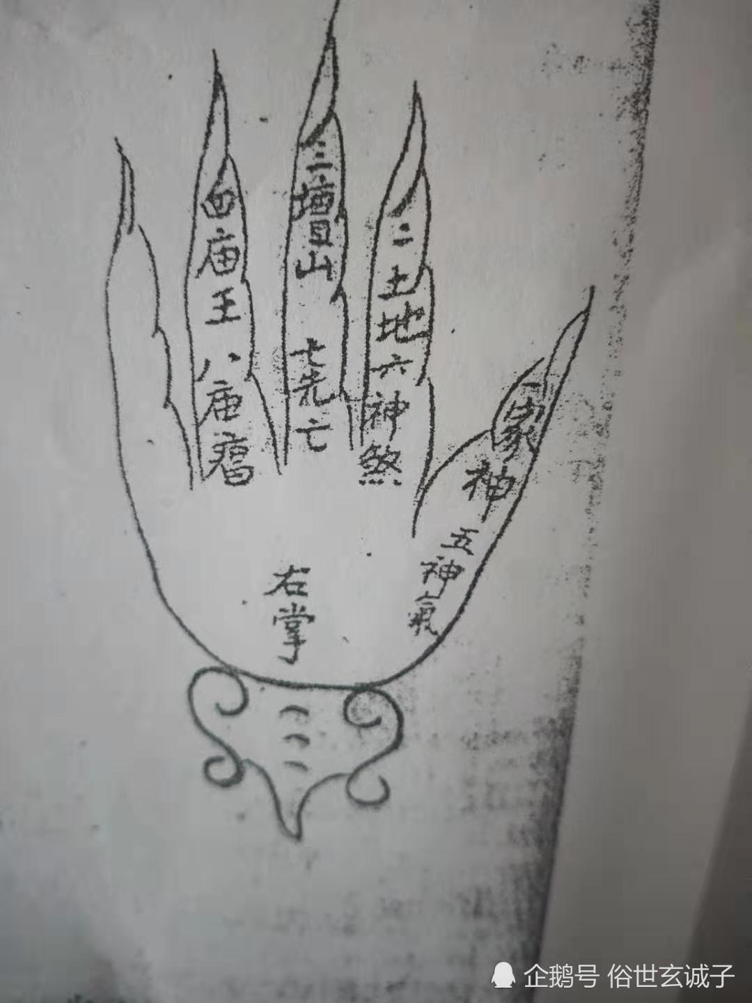 易卜启蒙之手相 看点快报