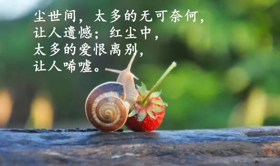 正能量说说唯美经典语录 句句人生哲理