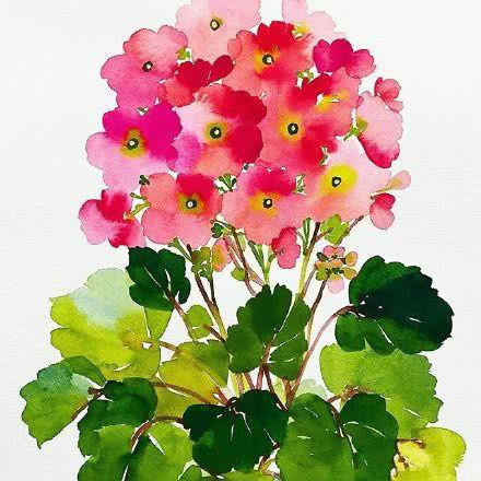 看水色的花语 一盆盆水彩花 送来一个个温暖的水色画面 看点快报