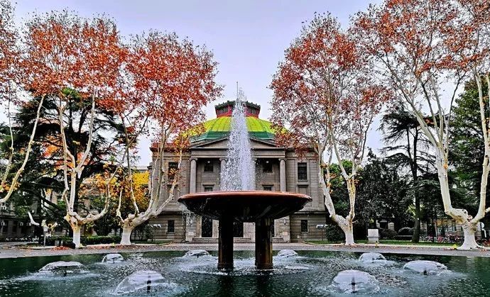 不输于任何一个南京景点,融民国风情与金秋灿烂于一身,处处都是风景