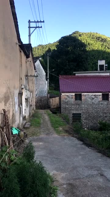 0?fmt=jpg&size=52&rs=39-37&h=640&w=360&ppv=1