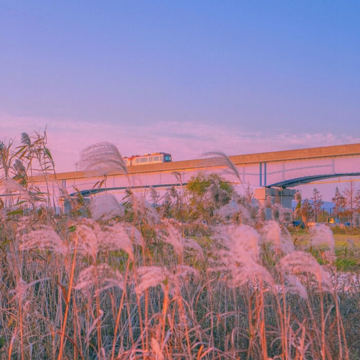 原宿风治愈系仙女专用背景图 看点快报