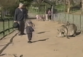 270_186 gif 动态图 动图