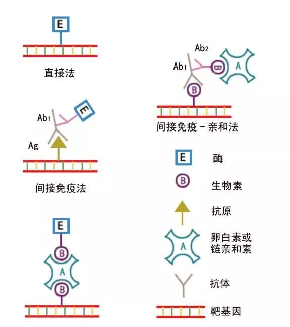 天天快报