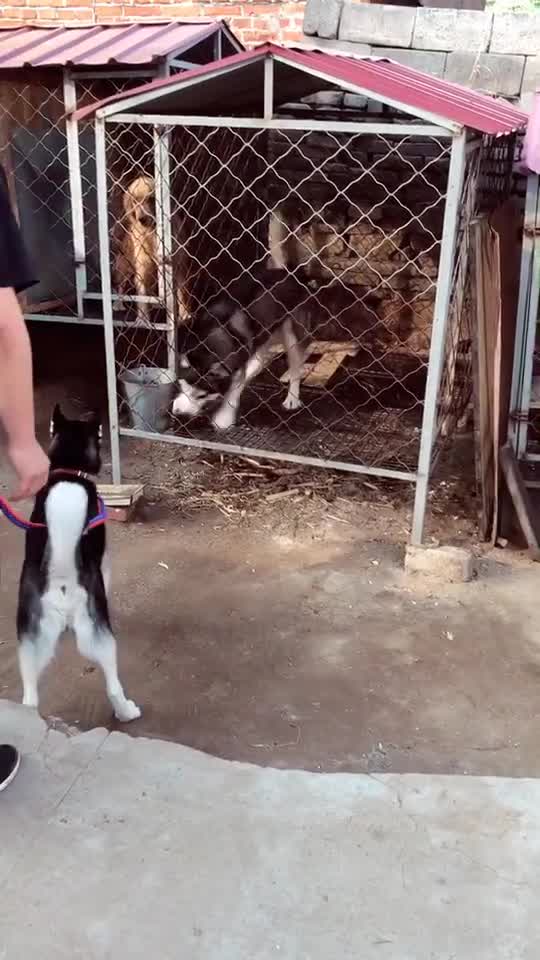 0?fmt=jpg&size=56&h=960&w=540&ppv=1