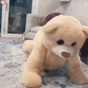 会跳舞的熊gif动图表情包