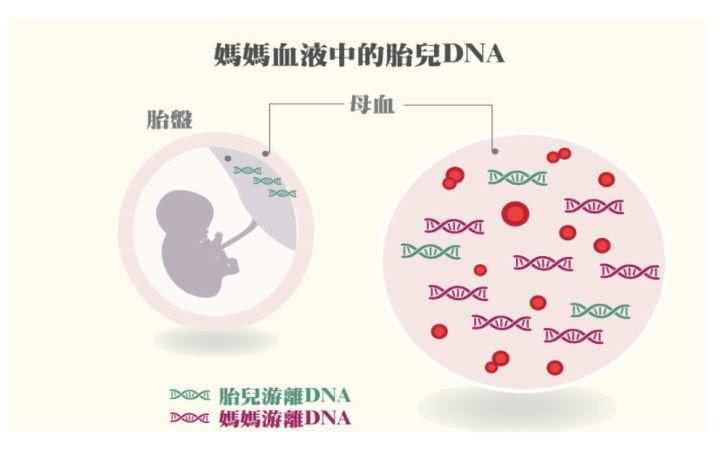 香港验血检查胎儿染色体的原理 宝妈们都知道吗 看点快报