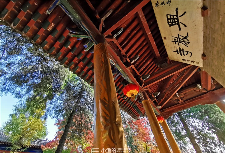 11月游西安 藏在千年古寺里的秘境之秋 普通游人无法看到的美 看点快报