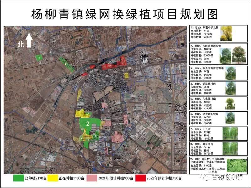 绿网换绿植——西青区杨柳青镇牢固树立绿水青山理念