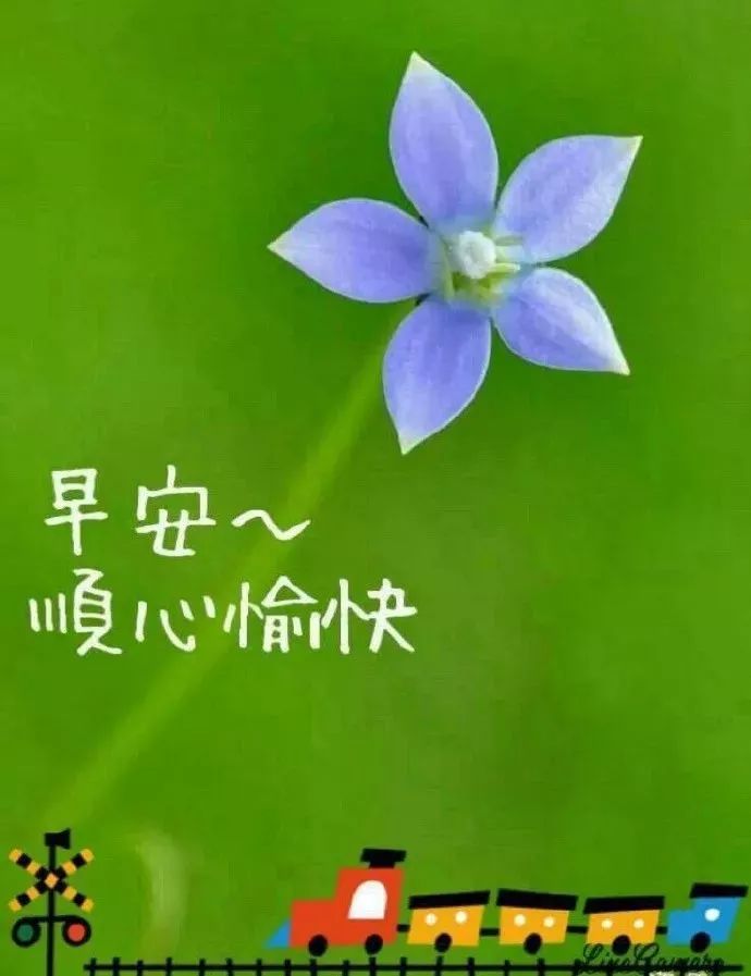 超漂亮的早安祝福语动态美图,最新的早上好祝福送大家