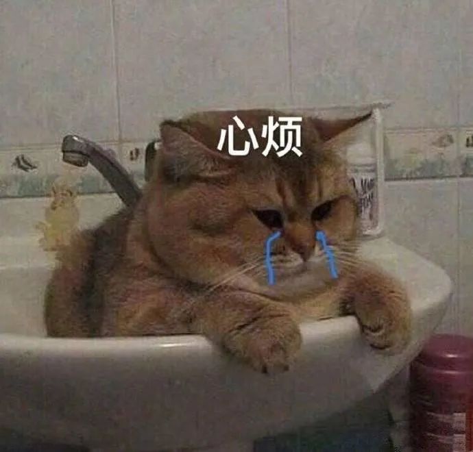 美女的烦恼,美女,表情包