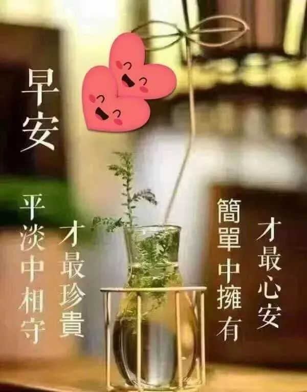 12月31日超温馨的早上好问候语动态图片,早安祝福语表情图片带字温馨