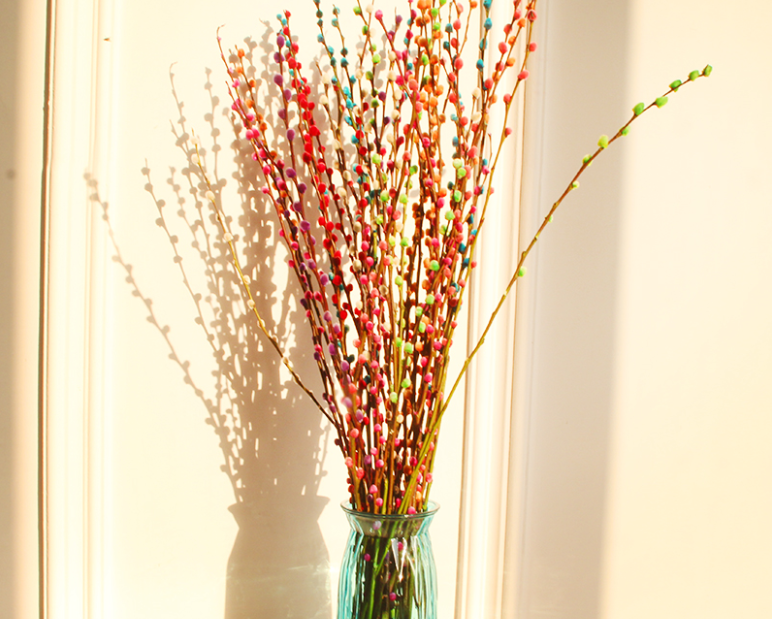 五颜六色的年宵花银柳 原来是人工染色 这样做可以保存1年 看点快报