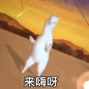 哈哈哈太魔性了!最近这只羊驼火到大家都在用它的表情