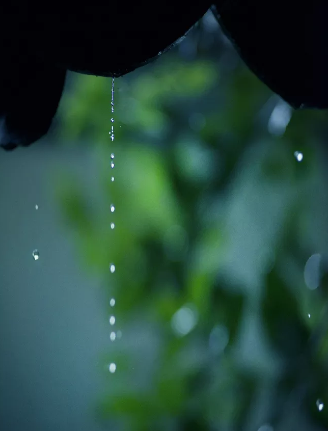 夏夜,夜雨,唐-韩偓,夏夜雨,南堂,夏天,诗词鉴赏