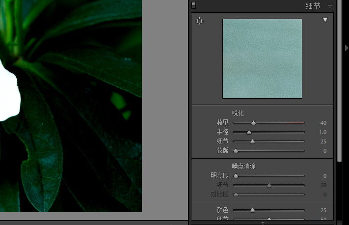 相片噪点产生的原因 噪点有哪些类型 如何给照片降噪 看点快报
