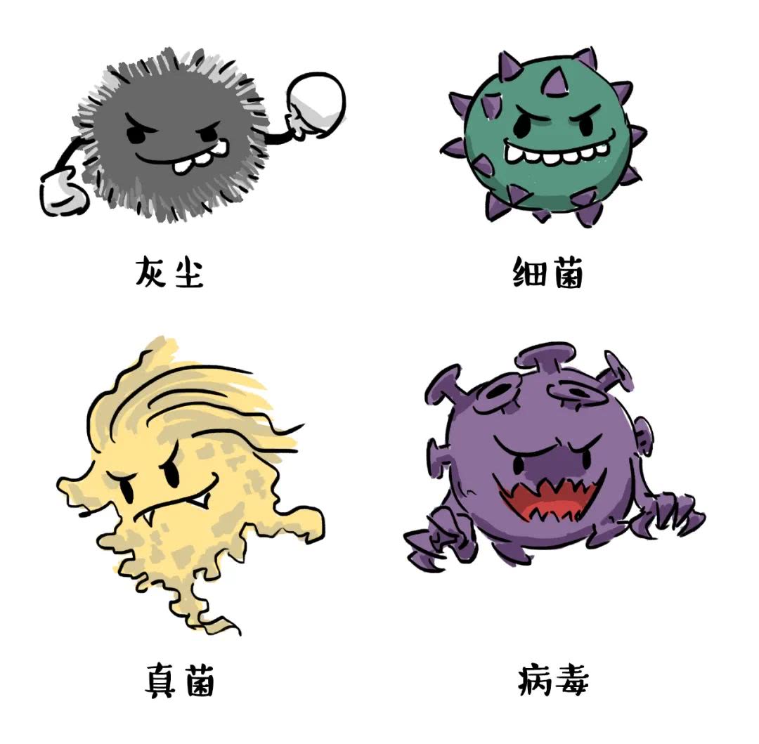 家具,微生物