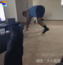 萌宠:狐朋狗友不够多,就不要那么豪横!