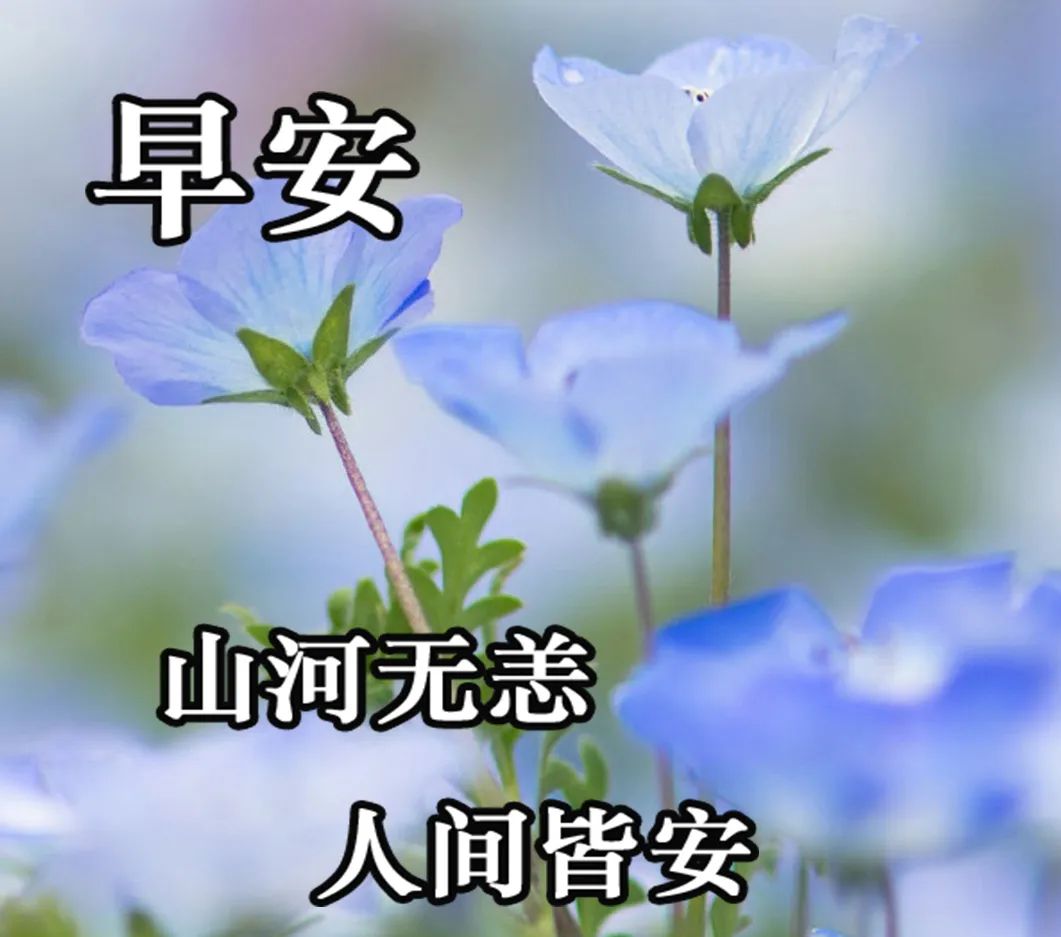 9月3清晨早安祝福语,漂亮的唯美图片动态表情
