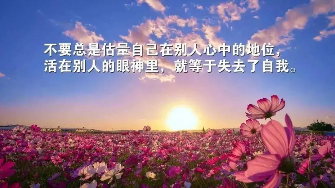 适合发朋友圈的人生哲理心情短语,触动人心的心灵说说