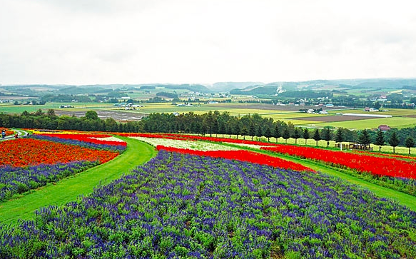北海道 三余诗意阿寒湖 你去过吗 看点快报