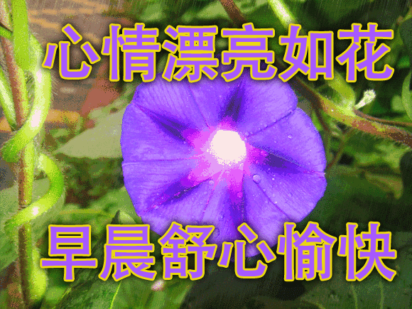 夏季新的早晨好问候语动态图,最新微信早晨好早上好表情包图片祝福