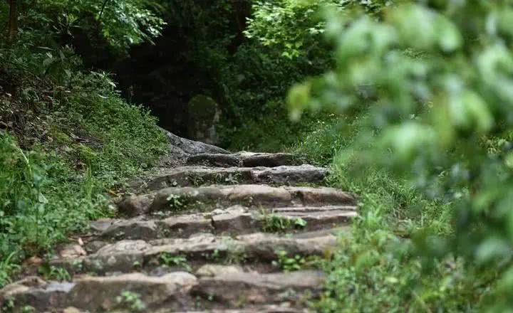 霞客古道就在金华山下,从智者寺为起点上山,经弹子下的斗鸡岩北上至