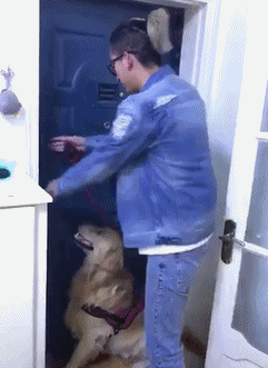 搞笑趣图:我有一个大胆的想法,决定亲自尝试一下!