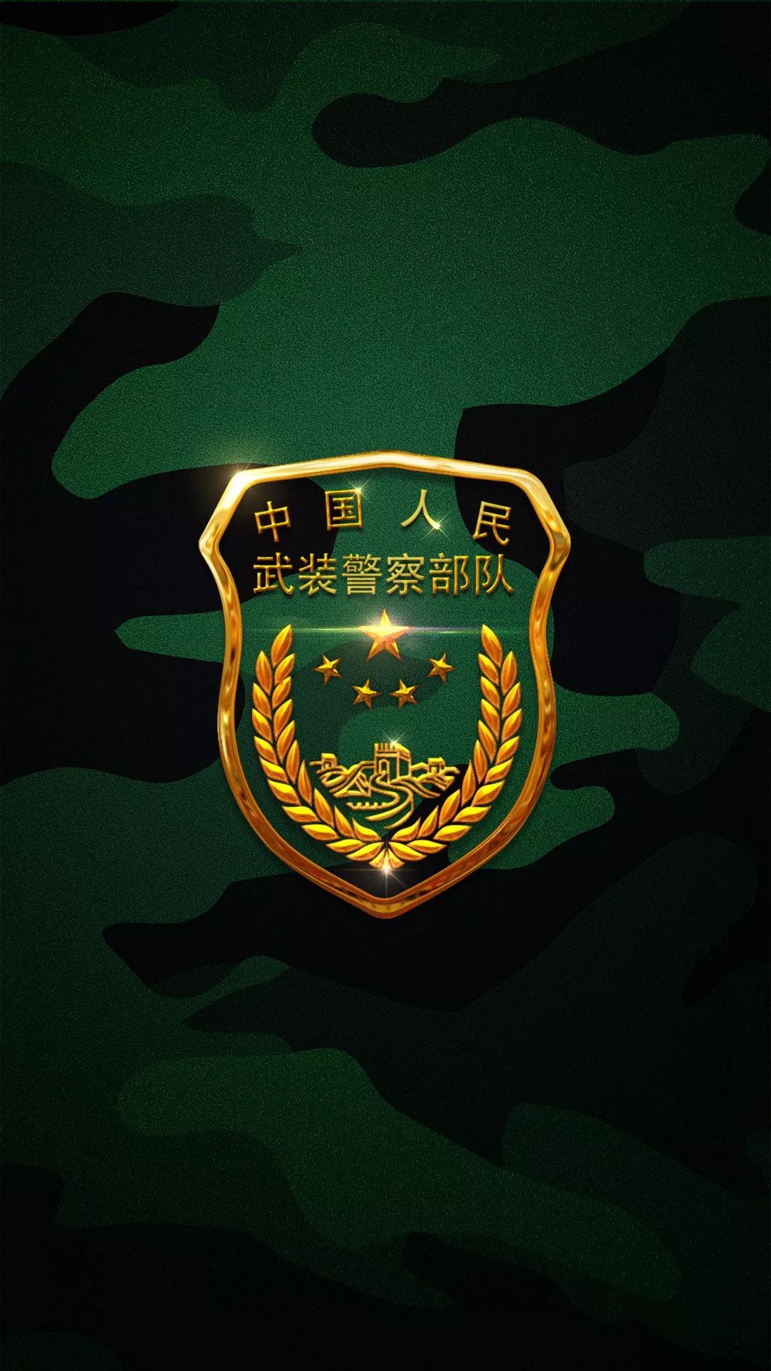 中国人民解放军空军,战略支援部队,武警部队,海军,特种部队,空军,臂章