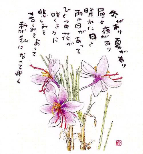 他高位截瘫 却以口衔笔写文作画 名震日本画坛 看点快报