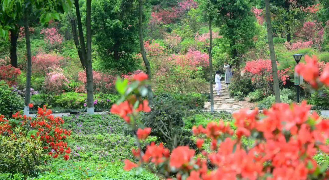 2015年湖南省人事考试网_湖南省植物园门票_长沙省植物园有地铁没